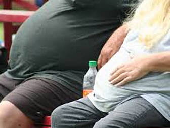 Loud noises leads to obesity
